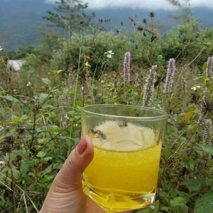 Mật ong bạc hà - CHAI 1L